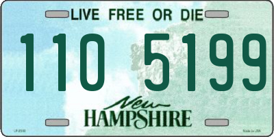 NH license plate 1105199