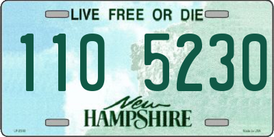 NH license plate 1105230