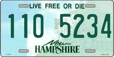 NH license plate 1105234