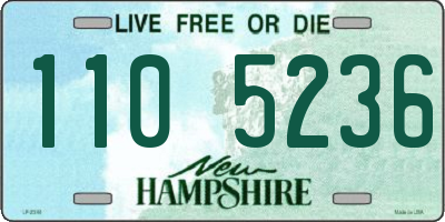 NH license plate 1105236