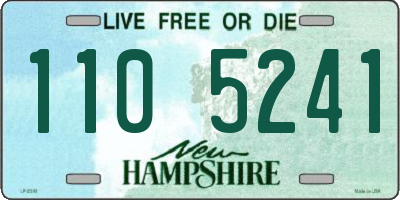 NH license plate 1105241