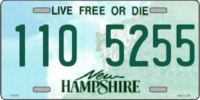 NH license plate 1105255