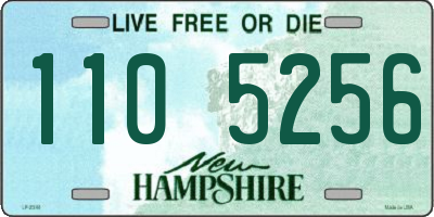 NH license plate 1105256