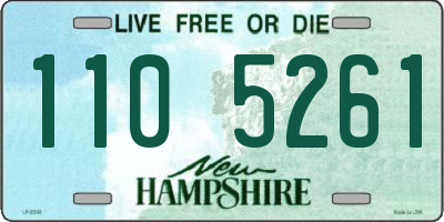 NH license plate 1105261