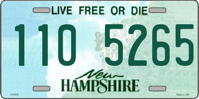NH license plate 1105265