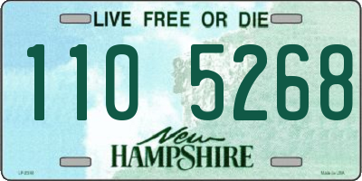 NH license plate 1105268