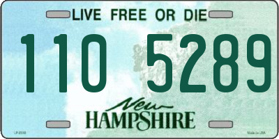 NH license plate 1105289