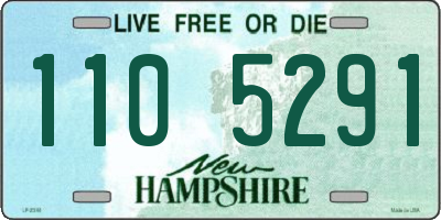 NH license plate 1105291