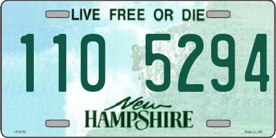 NH license plate 1105294