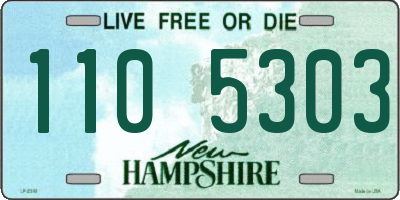 NH license plate 1105303