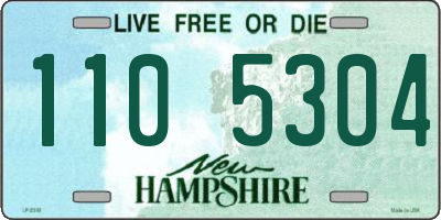 NH license plate 1105304