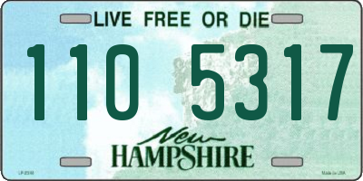 NH license plate 1105317
