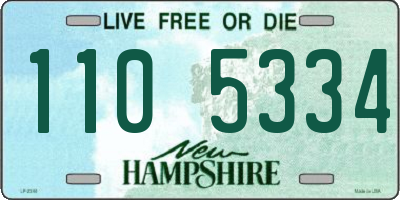 NH license plate 1105334