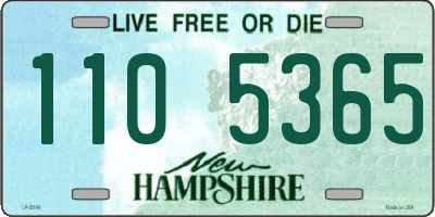 NH license plate 1105365