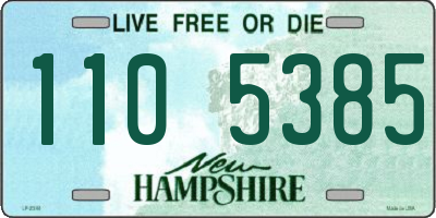 NH license plate 1105385