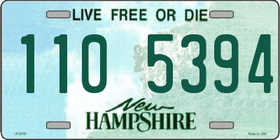 NH license plate 1105394