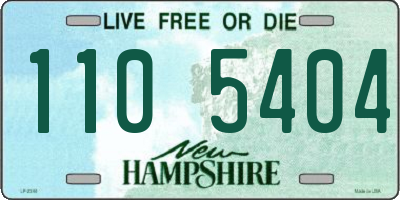 NH license plate 1105404