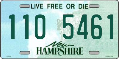 NH license plate 1105461