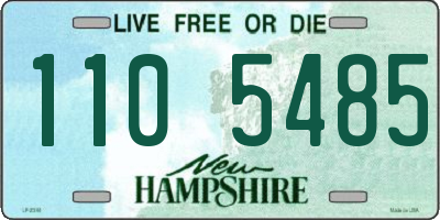 NH license plate 1105485