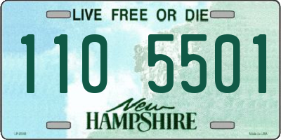 NH license plate 1105501