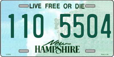 NH license plate 1105504