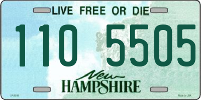 NH license plate 1105505