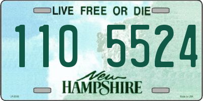 NH license plate 1105524