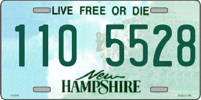 NH license plate 1105528