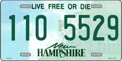 NH license plate 1105529