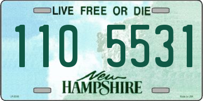 NH license plate 1105531