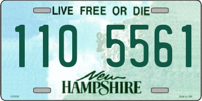 NH license plate 1105561