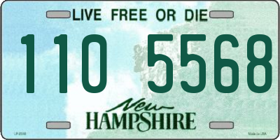 NH license plate 1105568
