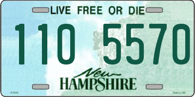 NH license plate 1105570