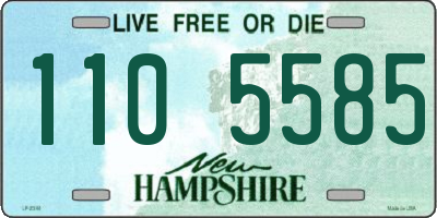 NH license plate 1105585
