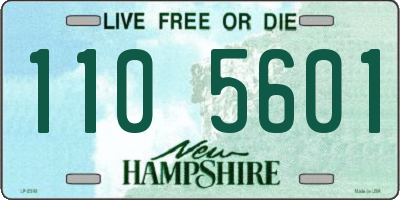 NH license plate 1105601