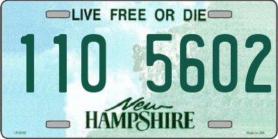 NH license plate 1105602