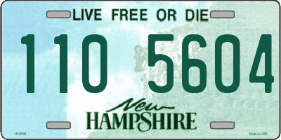 NH license plate 1105604