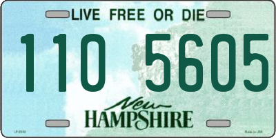 NH license plate 1105605