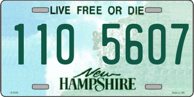NH license plate 1105607