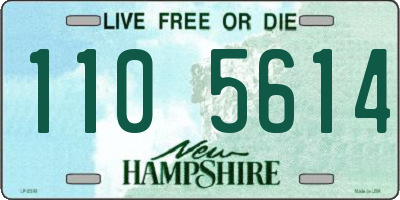 NH license plate 1105614