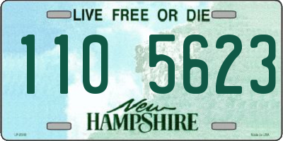 NH license plate 1105623