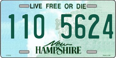 NH license plate 1105624