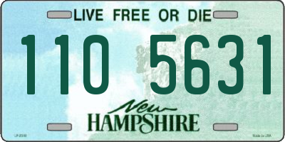 NH license plate 1105631
