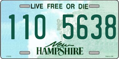 NH license plate 1105638