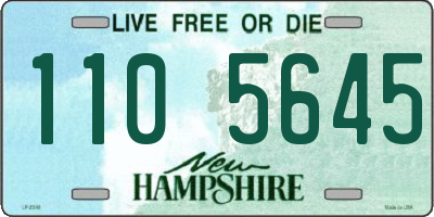 NH license plate 1105645
