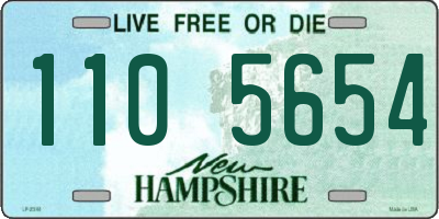 NH license plate 1105654