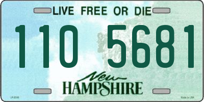 NH license plate 1105681