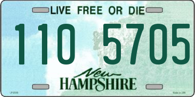 NH license plate 1105705