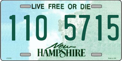 NH license plate 1105715