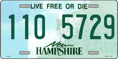 NH license plate 1105729